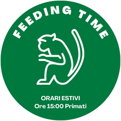 feeding