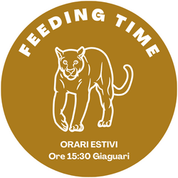 feeding